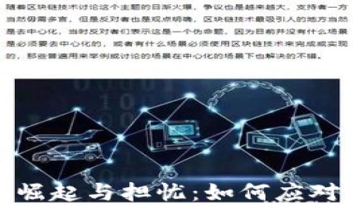   
加密货币的崛起与担忧：如何应对风险与挑战