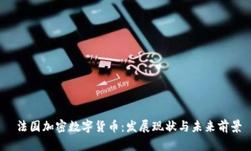  法国加密数字货币：发展现状与未来前景