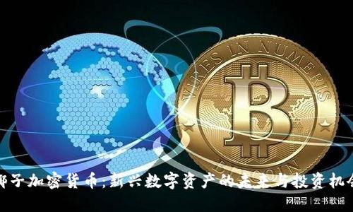 椰子加密货币：新兴数字资产的未来与投资机会
