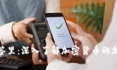 放进