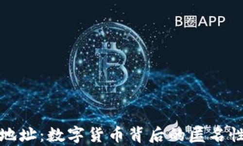 
加密货币与IP地址：数字货币背后的匿名性和安全性解析