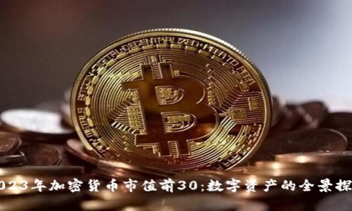 2023年加密货币市值前30：数字资产的全景探索