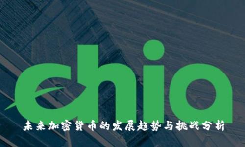 未来加密货币的发展趋势与挑战分析