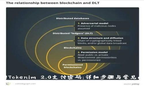 如何找回Tokenim 2.0支付密码：详细步骤与常见问题解答