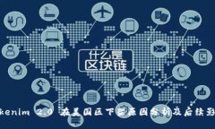 Tokenim 2.0 在美国区下架原