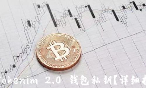 
如何安全导出Tokenim 2.0 钱包私钥？详细指南与注意事项