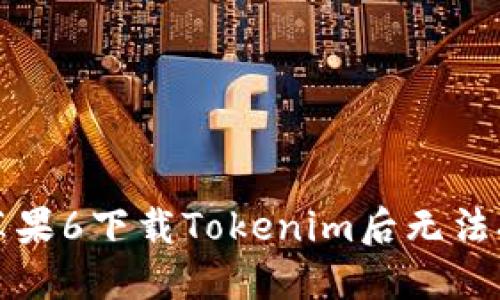 如何解决苹果6下载Tokenim后无法打开的问题