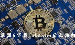 如何解决苹果6下载Tokeni