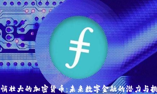 
悄悄壮大的加密货币：未来数字金融的潜力与挑战