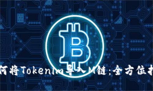 如何将Tokenim导入M链：全方位指南