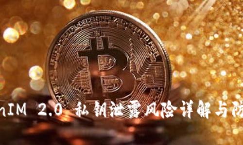 : TokenIM 2.0 私钥泄露风险详解与防范措施