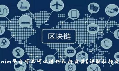 ### Tokenim平台可不可以进行杠杆交易？详解杠杆交易及其风险