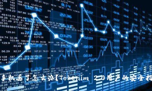 : 手机丢了怎么办？Tokenim 2.0用户的安全指南